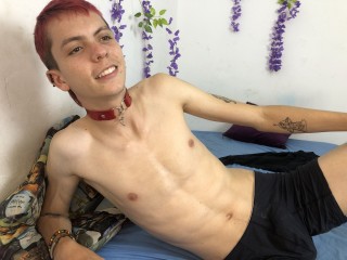 trevorhouston