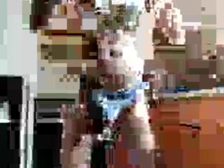 stefenhardcore
