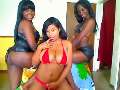 3.divas