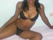 FELINA_CAT_DEVORE