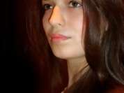 VIP_Model