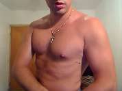 1_Hot_Stallion