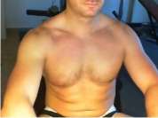 Italian_Bull