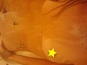 Sweet_Honey_69