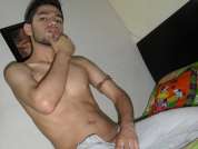 StiphWolf