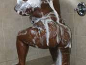 Dymond_Princess