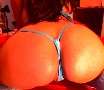 Pily