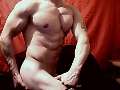 7starsbody
