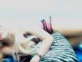 Almira4u
