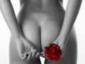 HoTLoliPOP_