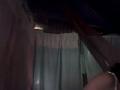 Wild_Lianza
