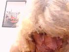 YourLady4xxx
