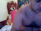 LarkBear