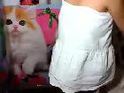 sweetMADEL