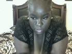 StallionXXX