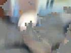Facial_Desires