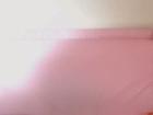 SerenaSeX