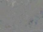 horney_girl