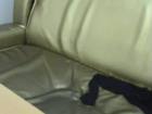 Tytti_Frytti