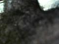 sexyguy2010