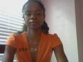 TheBrownFox