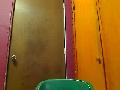 playfulalex