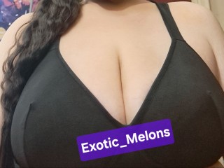 Exotic_Melons