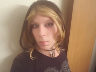 Transgender Webcam