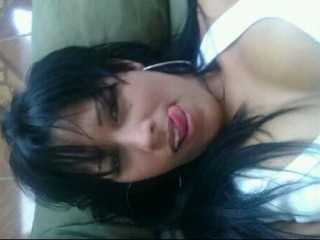 Shabal_Fox